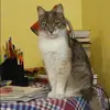 Отзыв от Анастасия Зверева